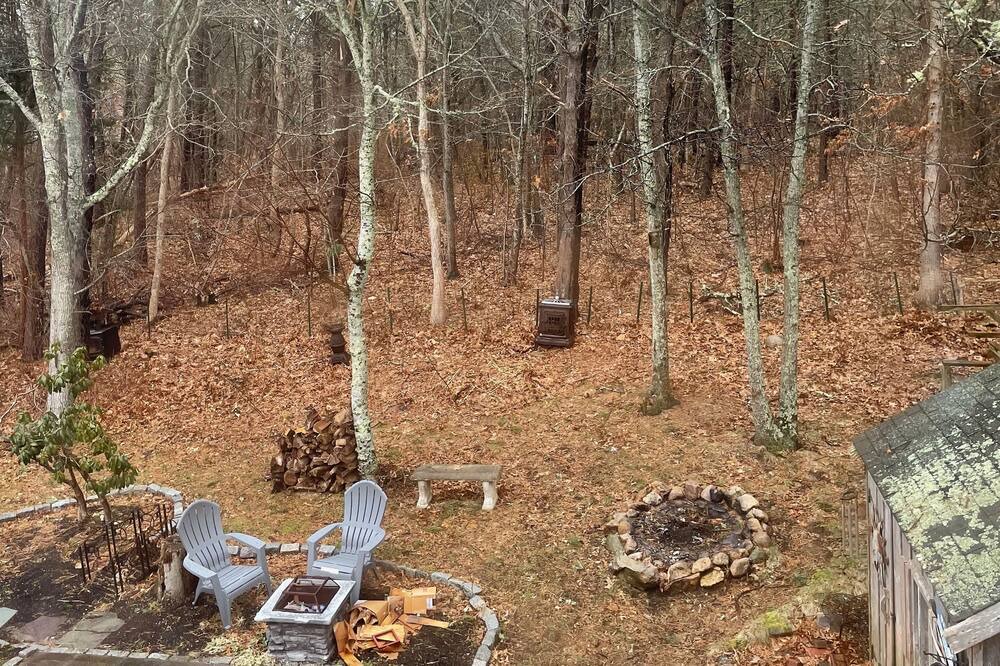 Photo of Outdoor in South Dennis