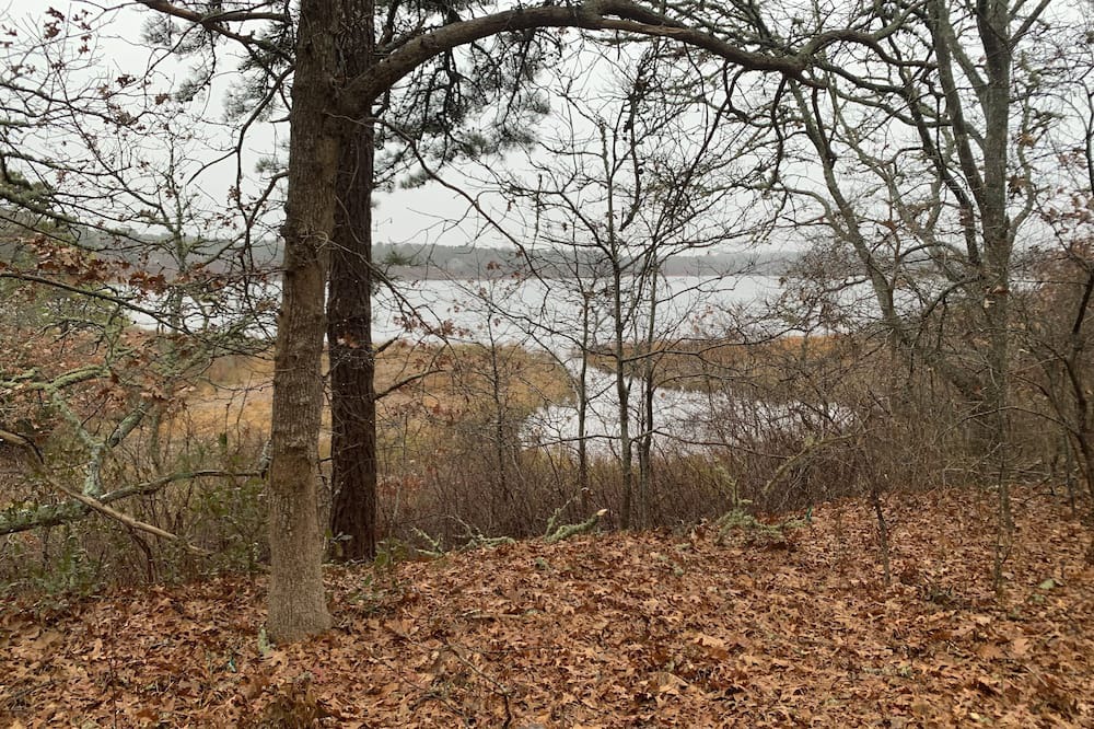 Photo of Others in South Dennis