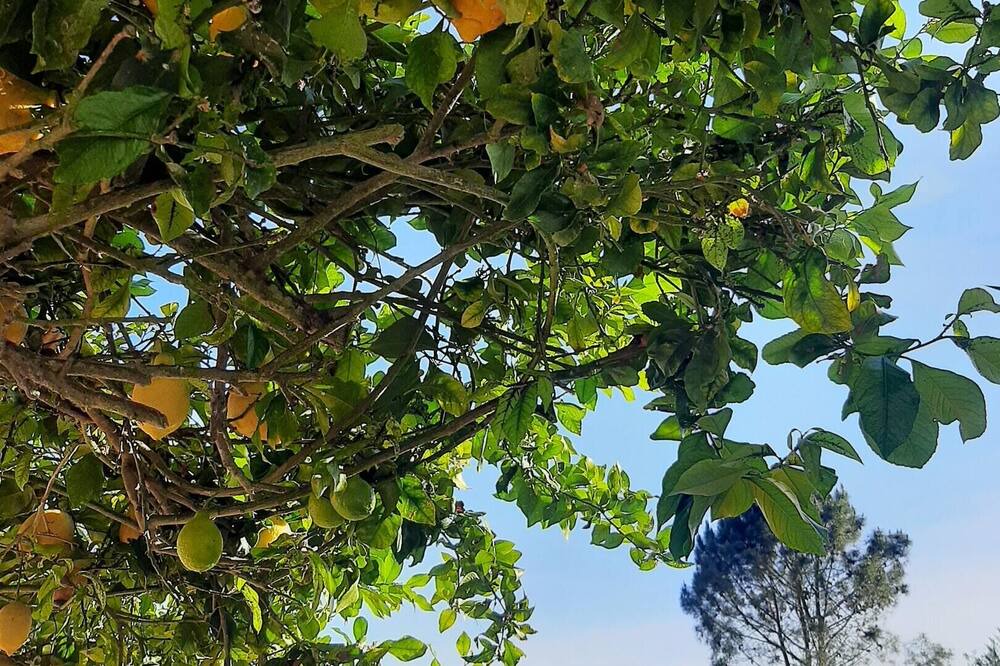Photo of Outdoor in Santo Andre