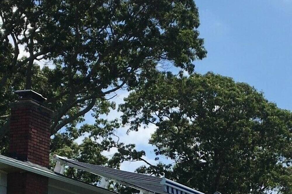 Photo of Others in Center Moriches