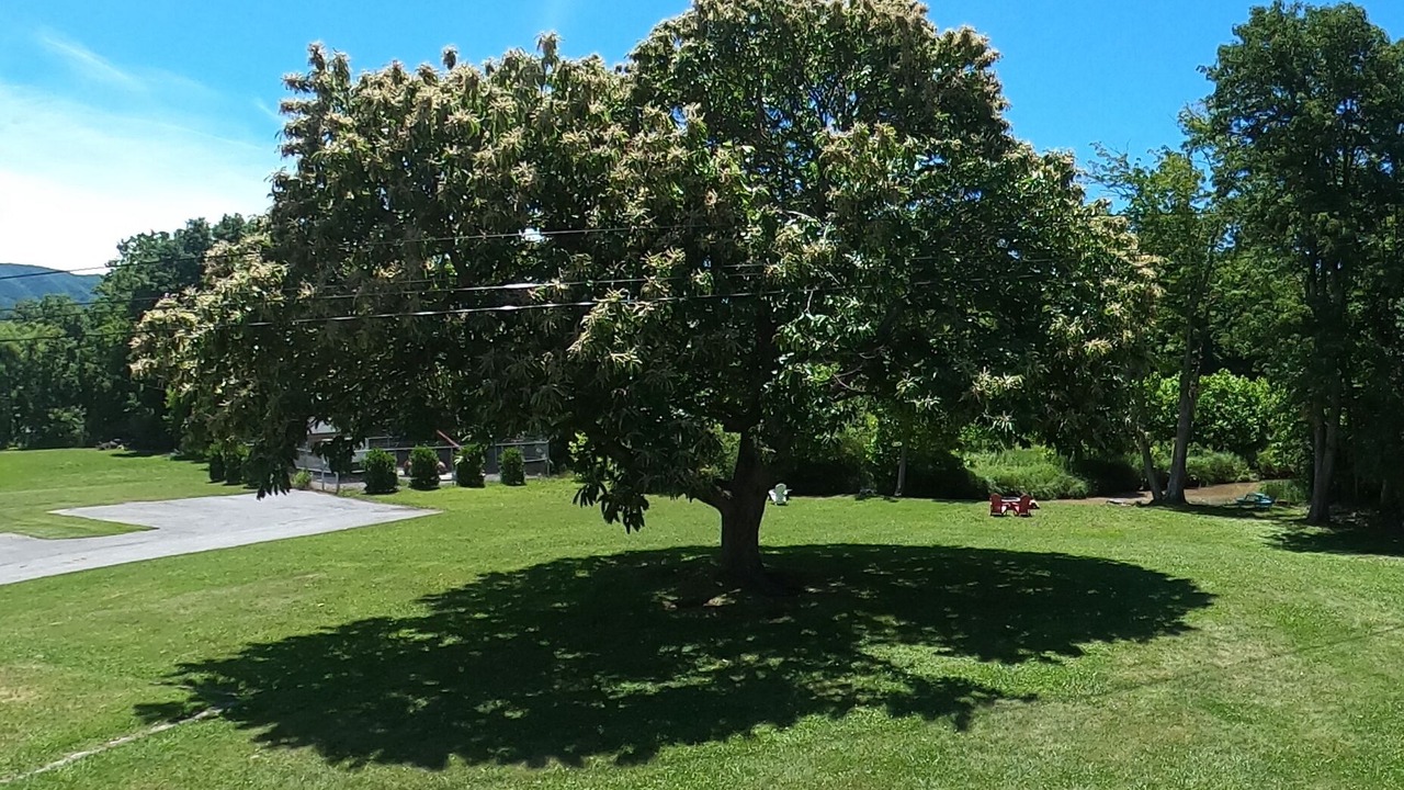 Photo of Outdoor in North Tazewell