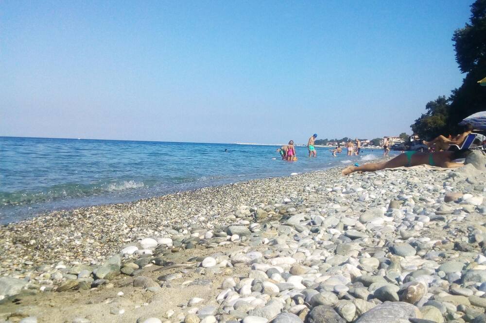 Photo of Others in Leptokaria
