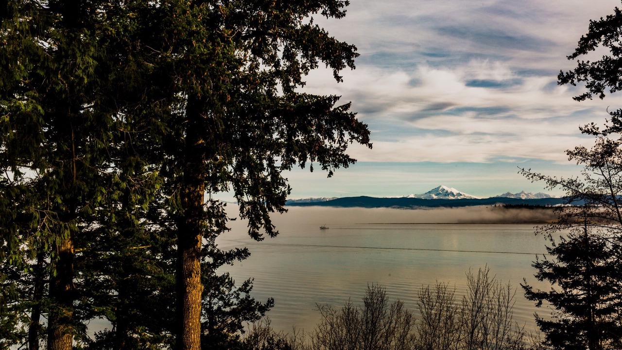 Photo of Others in Lummi Island