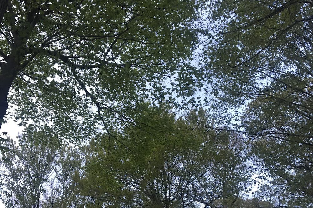 Photo of Outdoor in Baiting Hollow