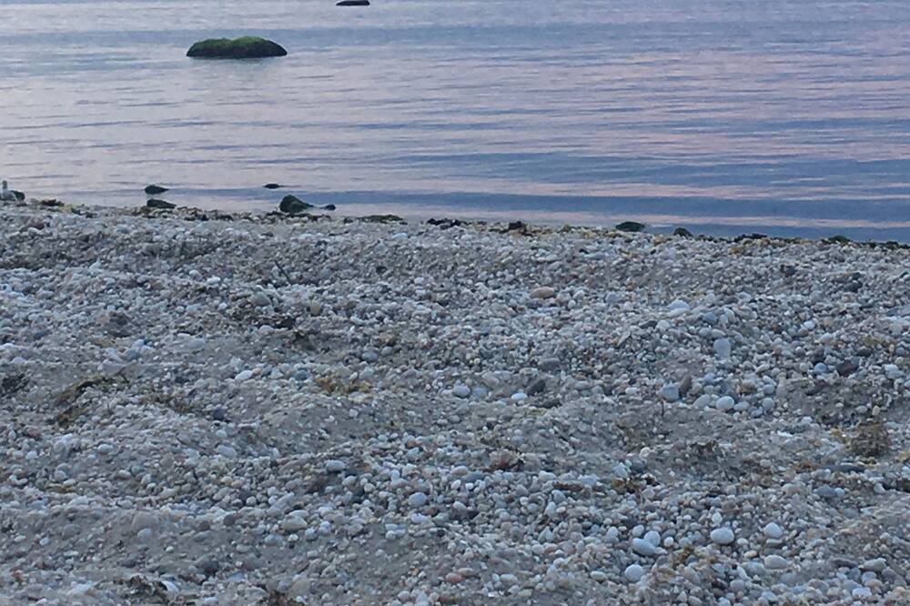 Photo of Others in Baiting Hollow