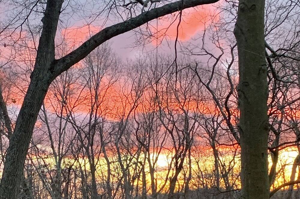 Photo of Outdoor in Baiting Hollow