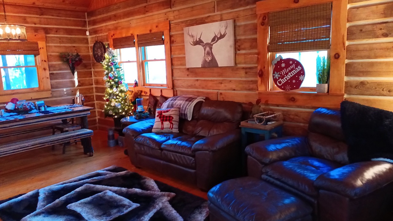 Photo of Livingroom in Birdseye