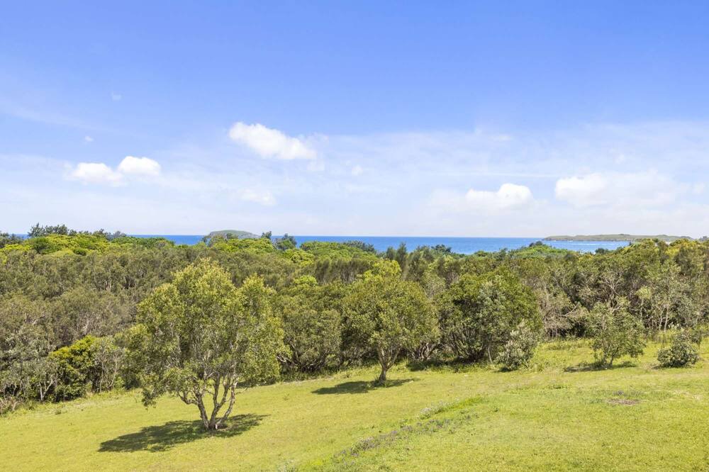 Photo of Others in Woolgoolga
