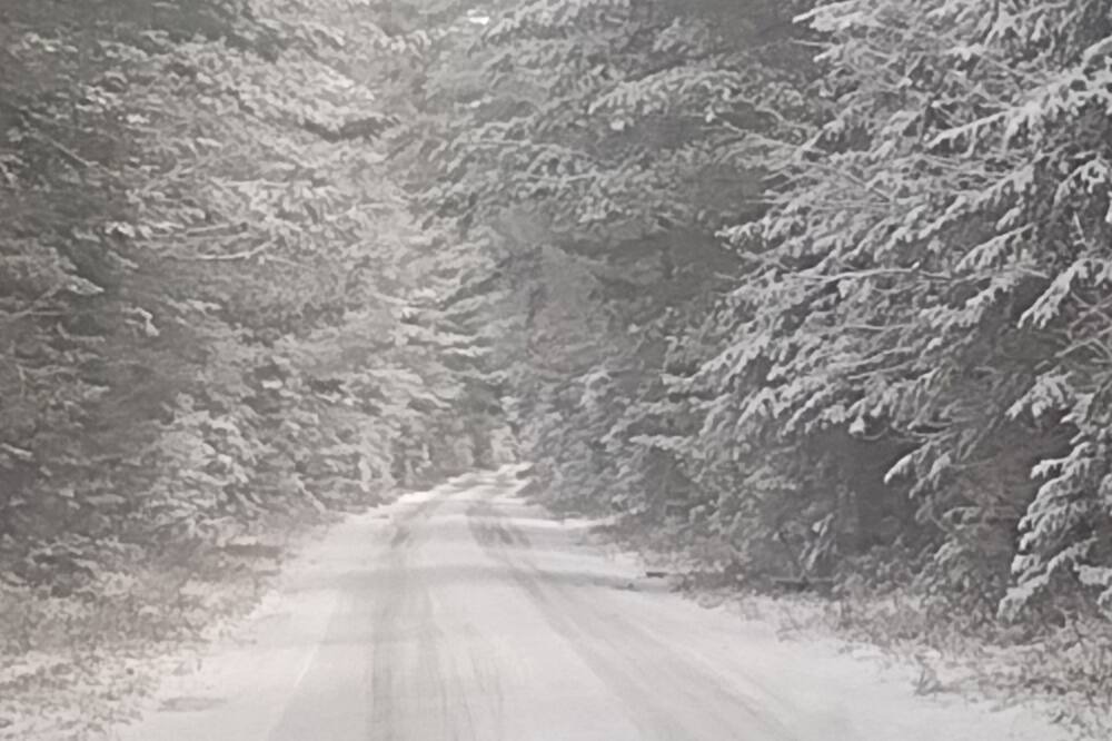Photo of Others in Forestport