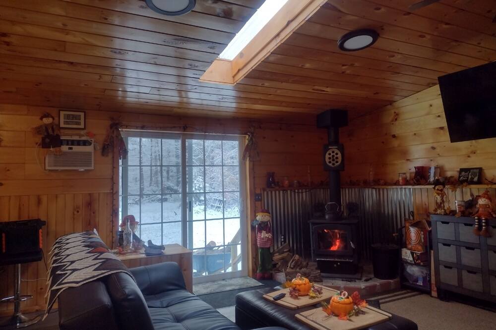 Photo of Livingroom in Forestport