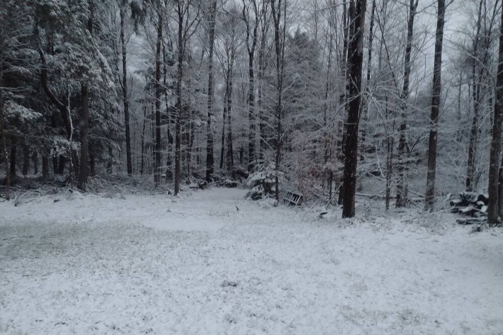 Photo of Others in Forestport