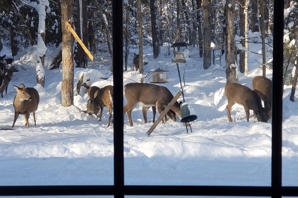 Photo of Others in Forestport