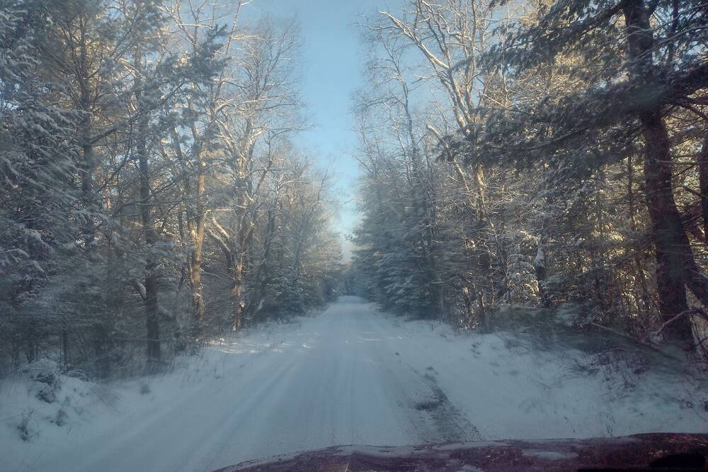 Photo of Others in Forestport