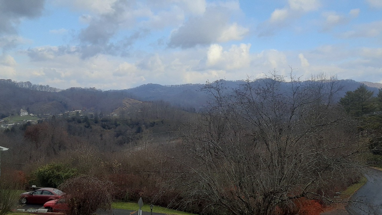 Photo of Others in Honaker