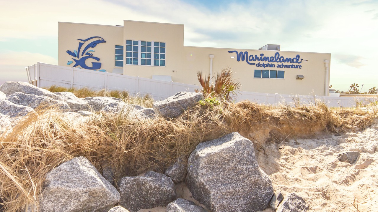 Photo of Outdoor in Crescent Beach