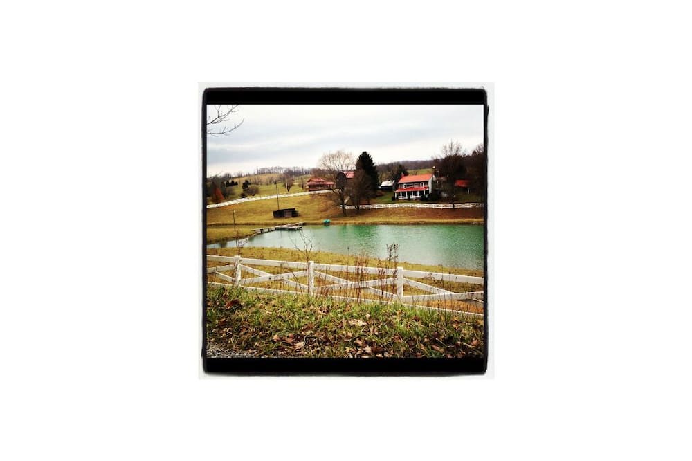 Photo of Others in Wytheville