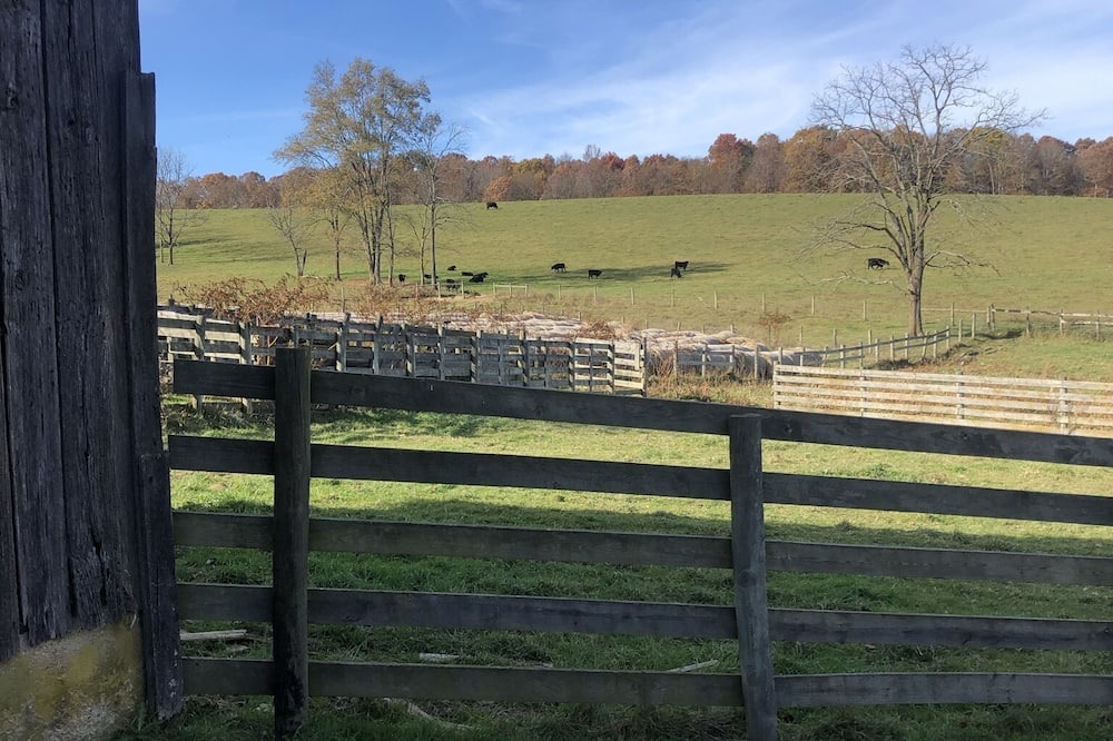 Photo of Outdoor in Wytheville