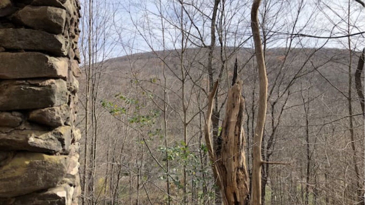 Photo of Outdoor in Shandaken