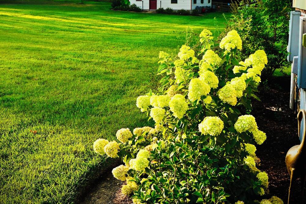 Photo of Outdoor in New Kent