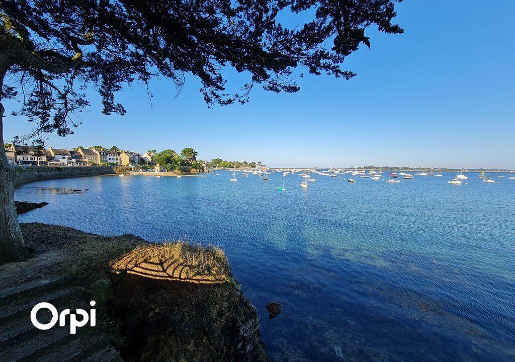 Photo of Others in Arzon