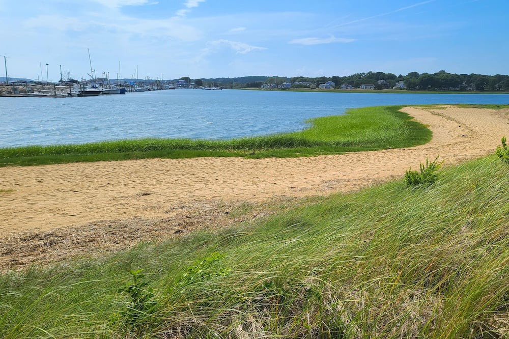 Photo of Others in Wellfleet