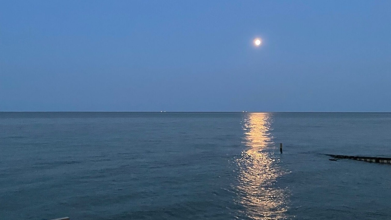 Photo of Others in New Point