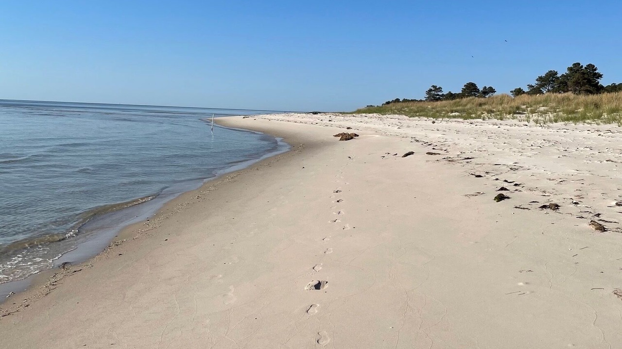 Photo of Others in New Point
