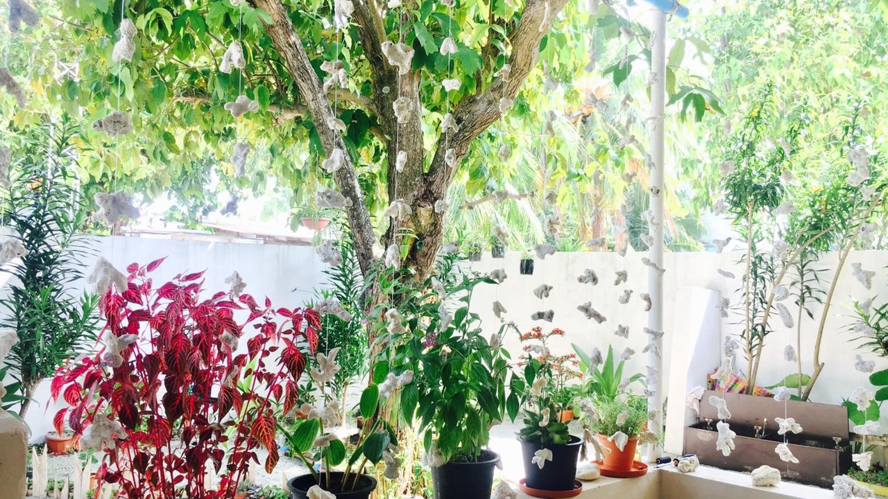 Photo of Outdoor in Thulusdhoo Island
