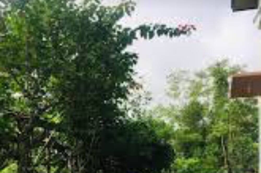 Photo of Outdoor in Daet