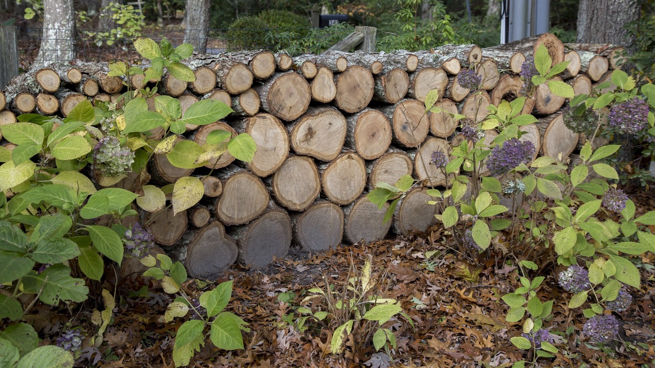 Photo of Outdoor in Water Mill