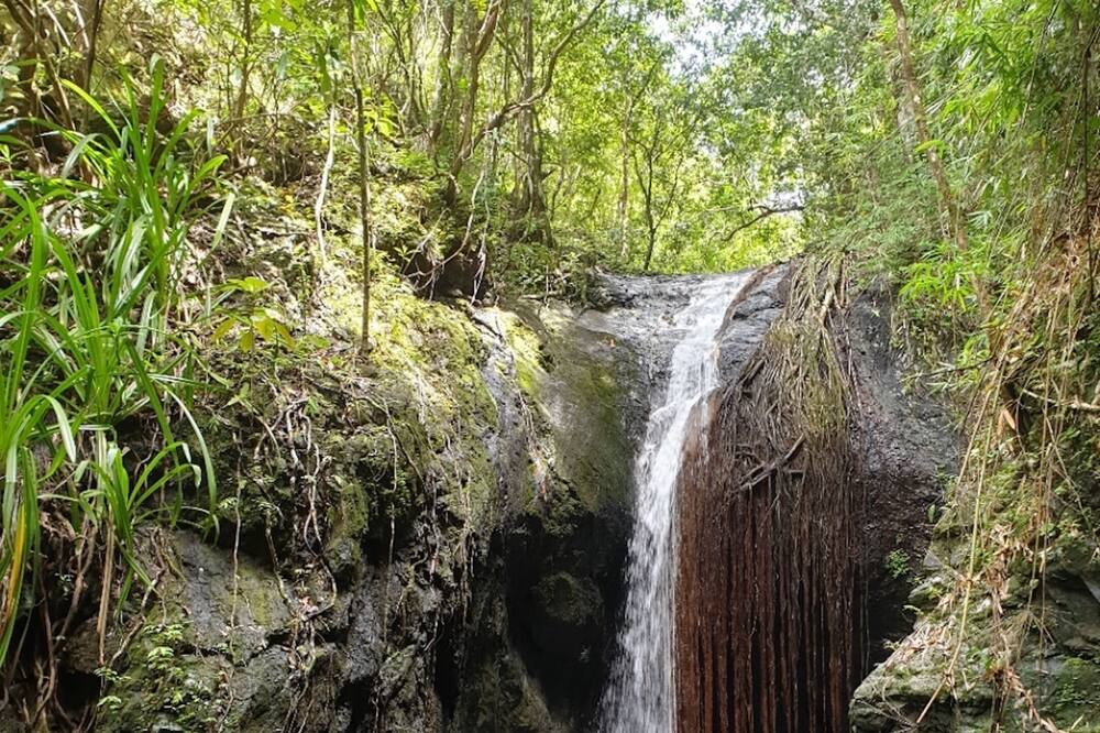 Photo of Outdoor in El Nido
