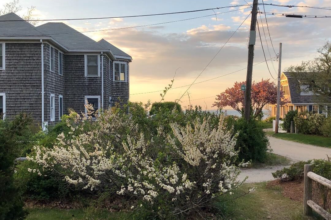 Photo of Outdoor in Sea Pines