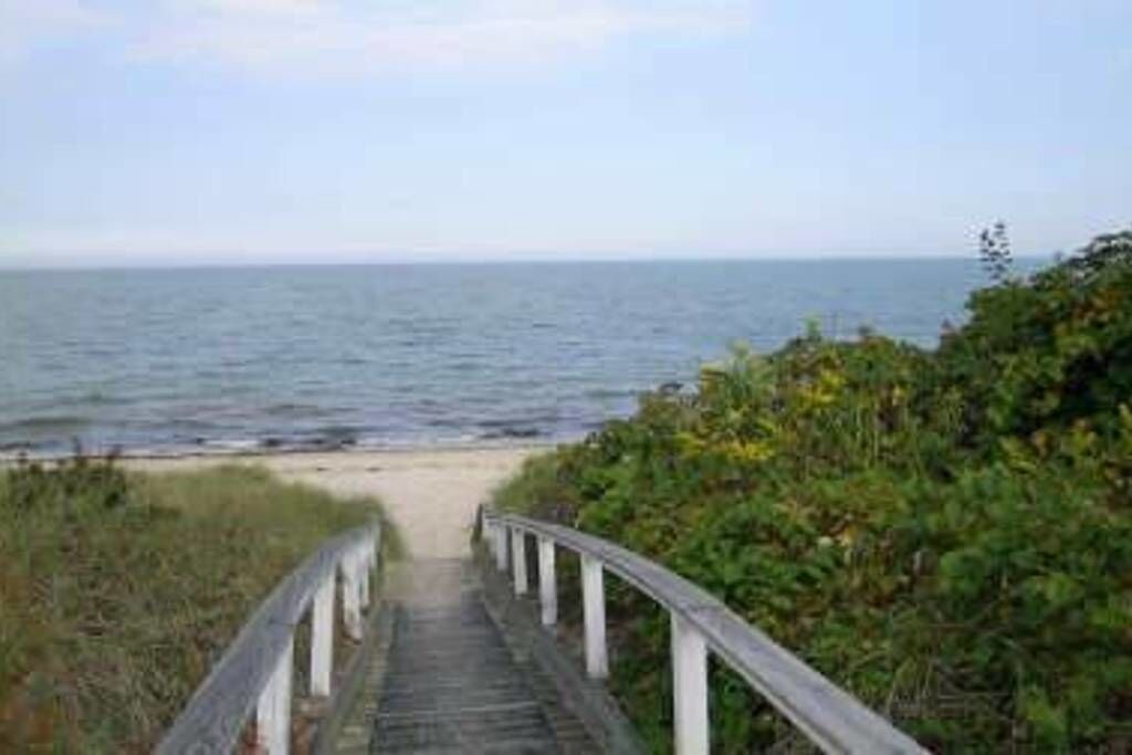 Photo of Others in Sea Pines