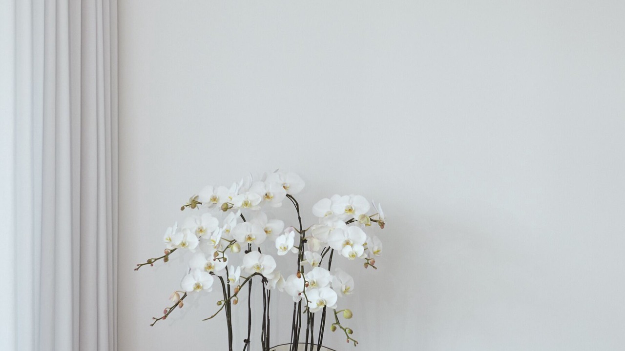 Photo of Others in Xuhui