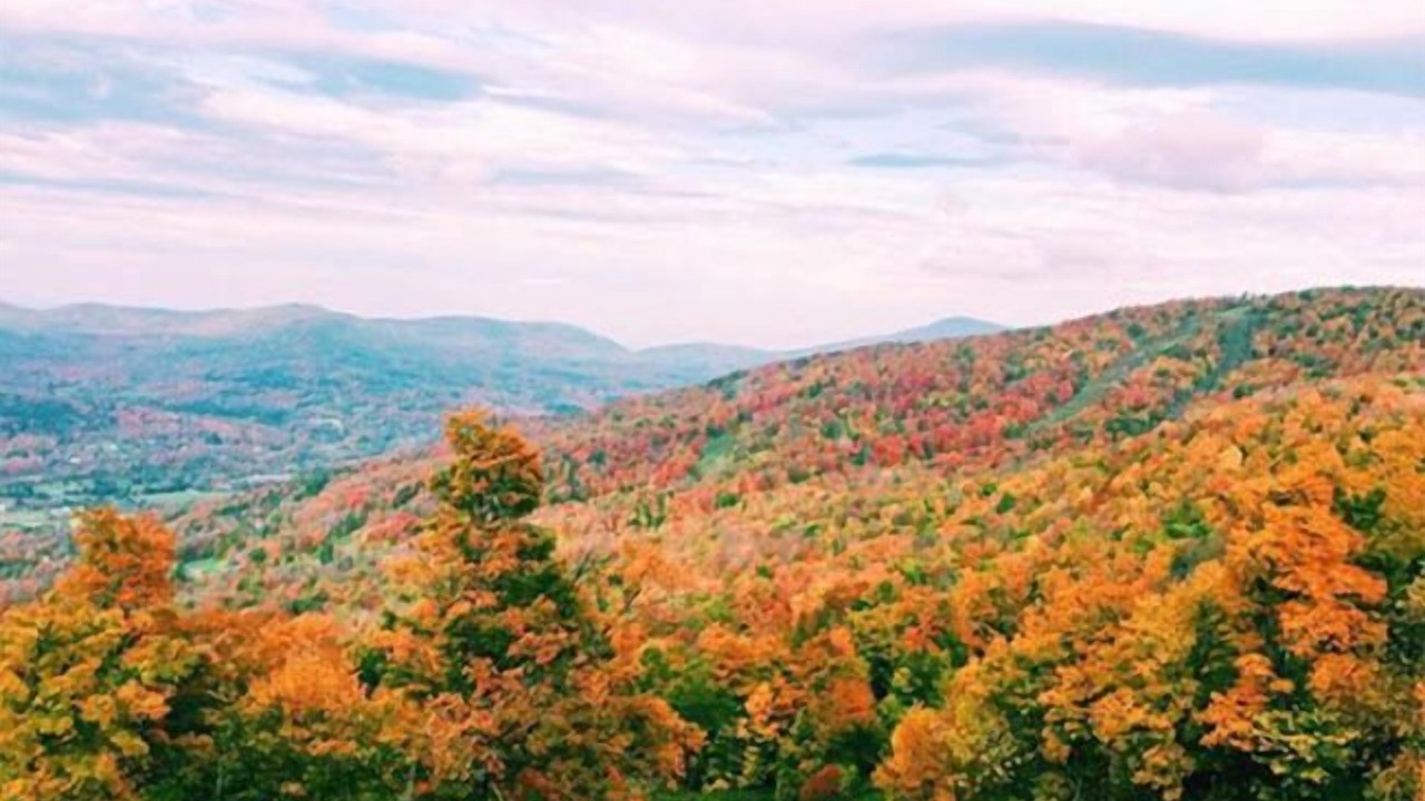Photo of Outdoor in Windham