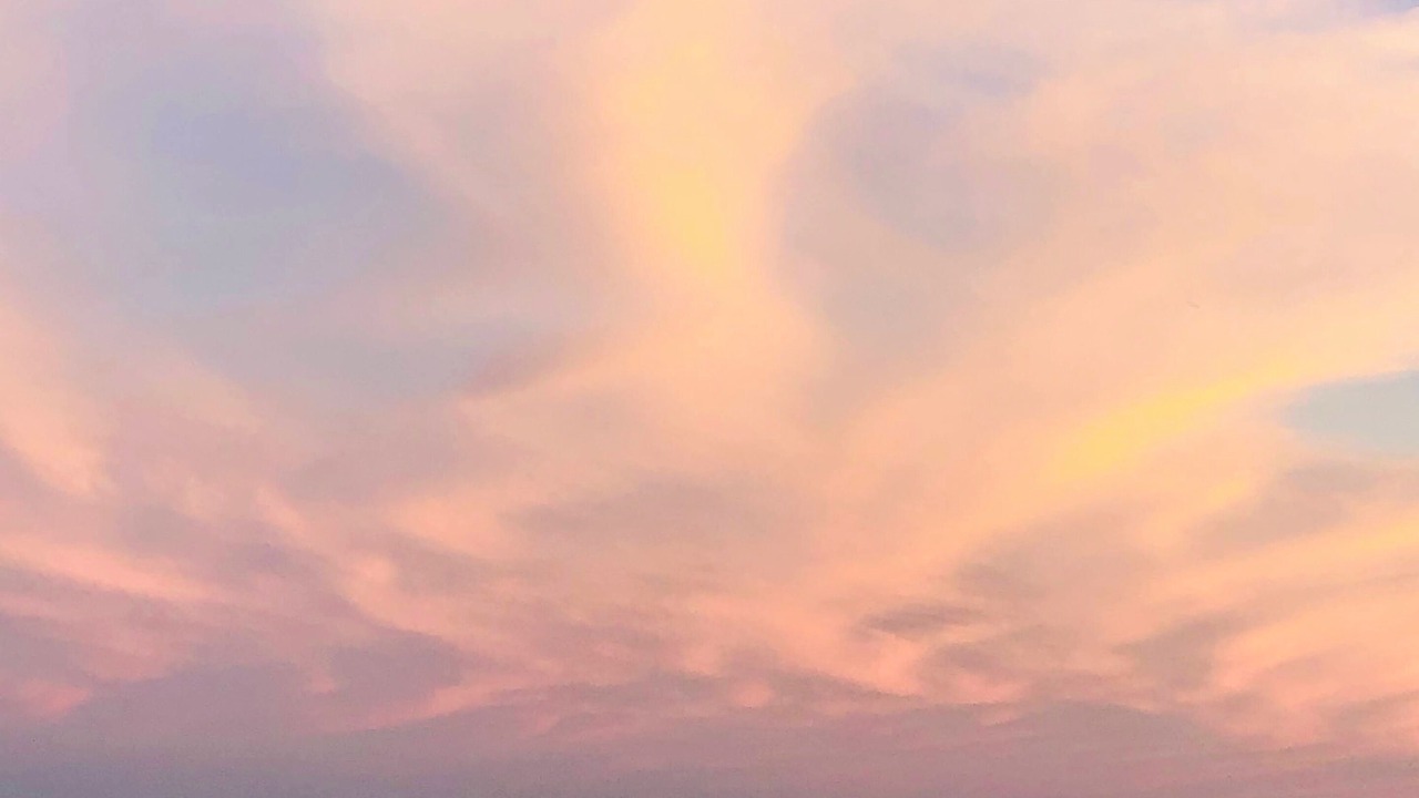 Photo of Others in Wellfleet