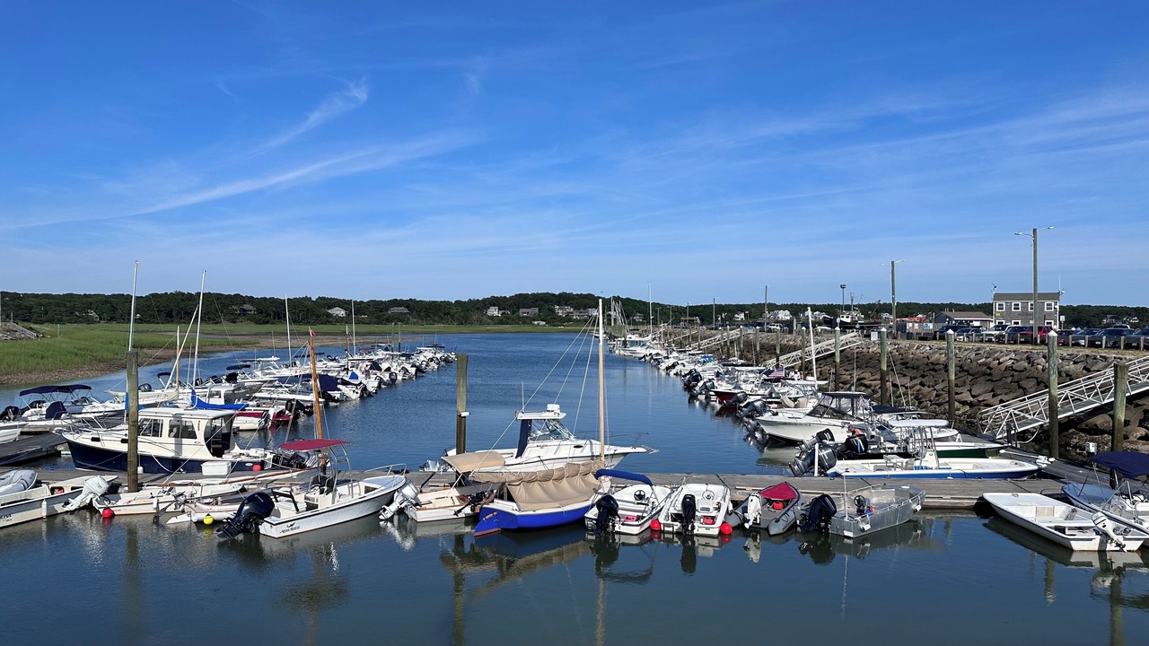 Photo of Others in Wellfleet