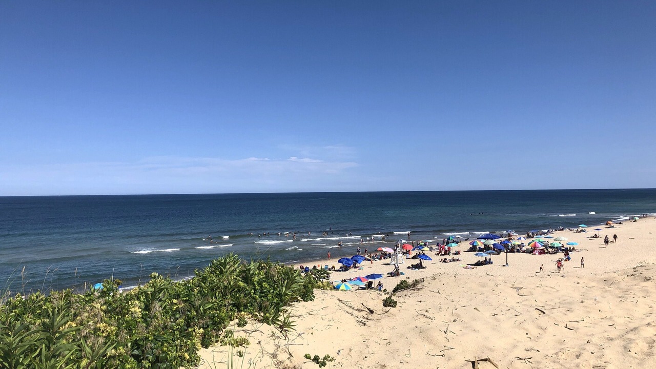 Photo of Others in Wellfleet