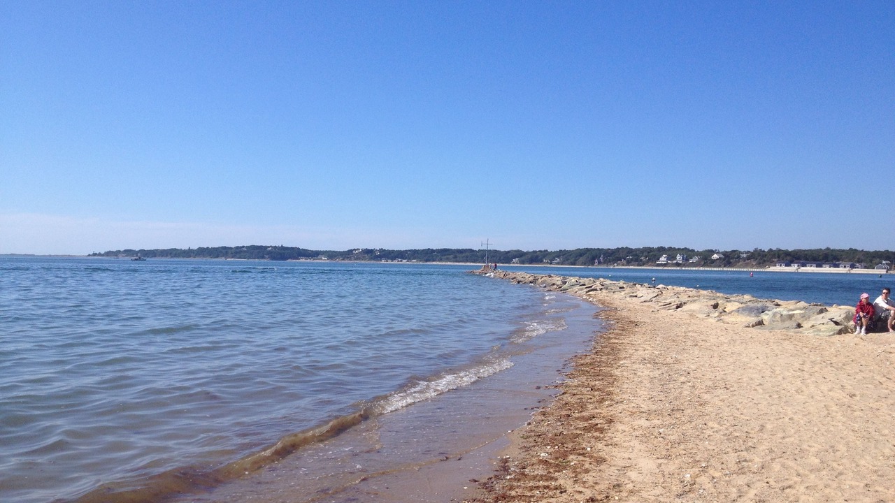 Photo of Others in Wellfleet