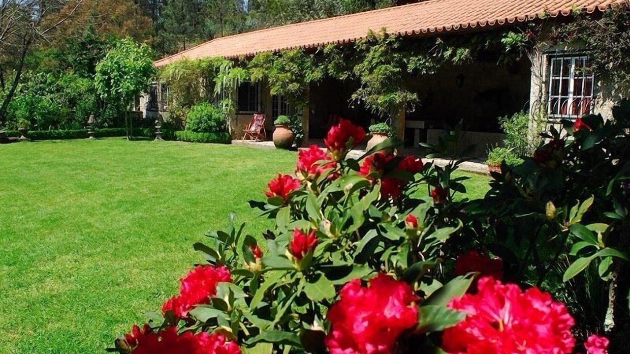 Photo of Outdoor in Cardielos