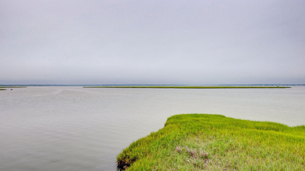 Photo of Others in West Hampton Dunes