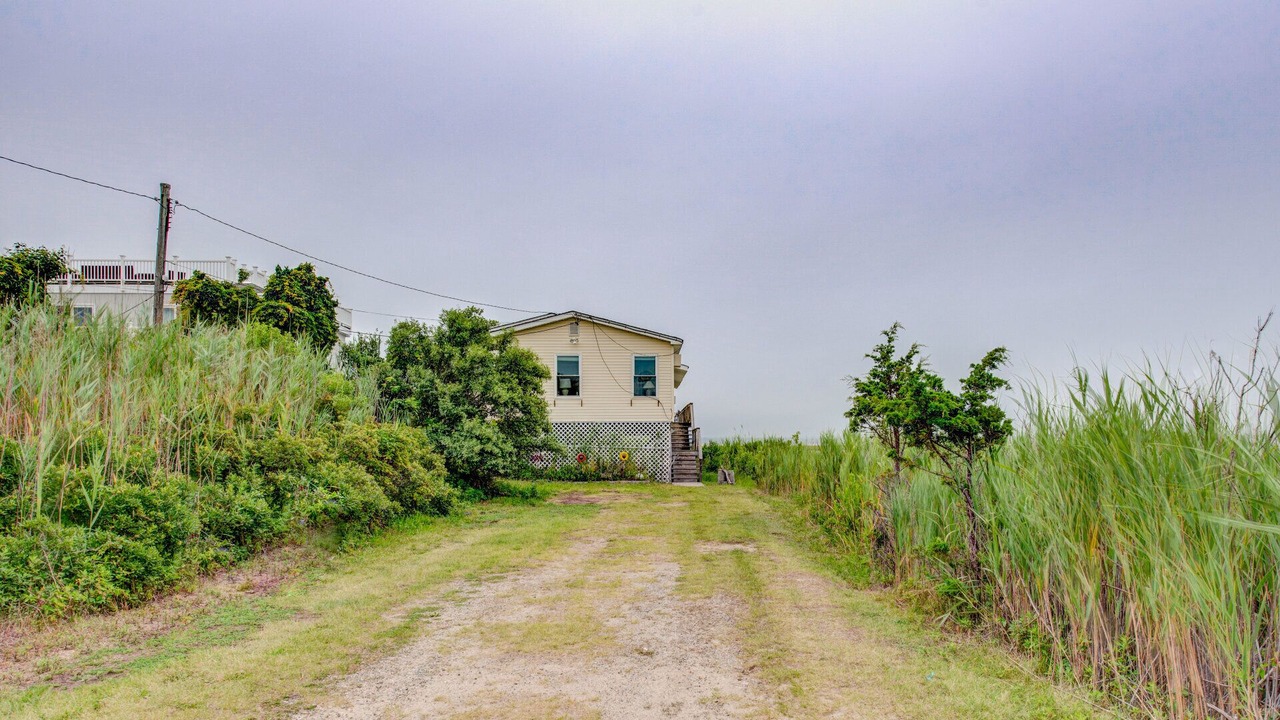 Photo of Outdoor in West Hampton Dunes