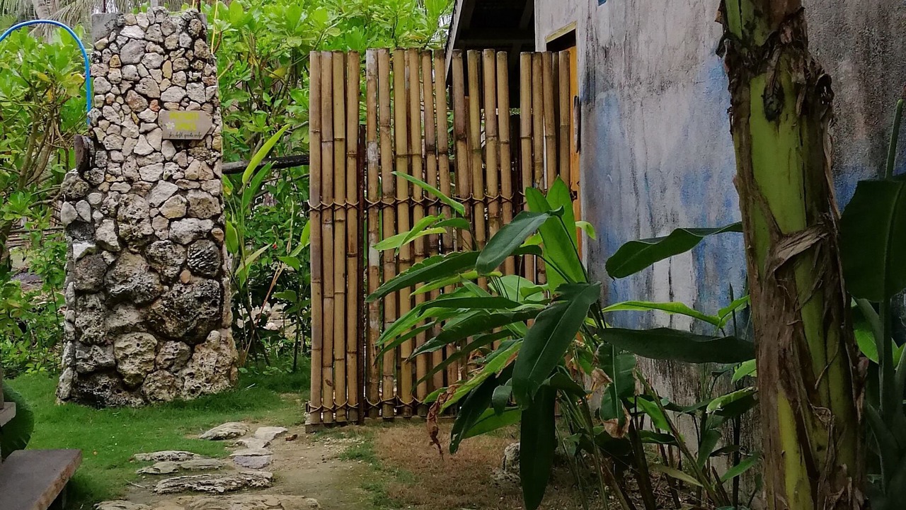 Photo of Outdoor in San Isidro