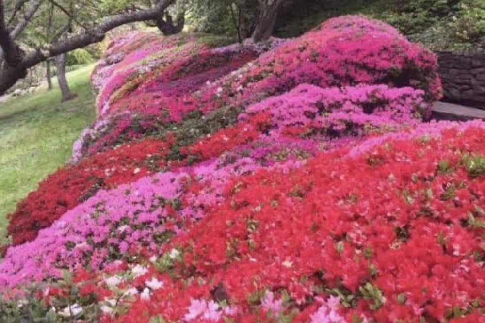 Photo of Outdoor in Katoomba