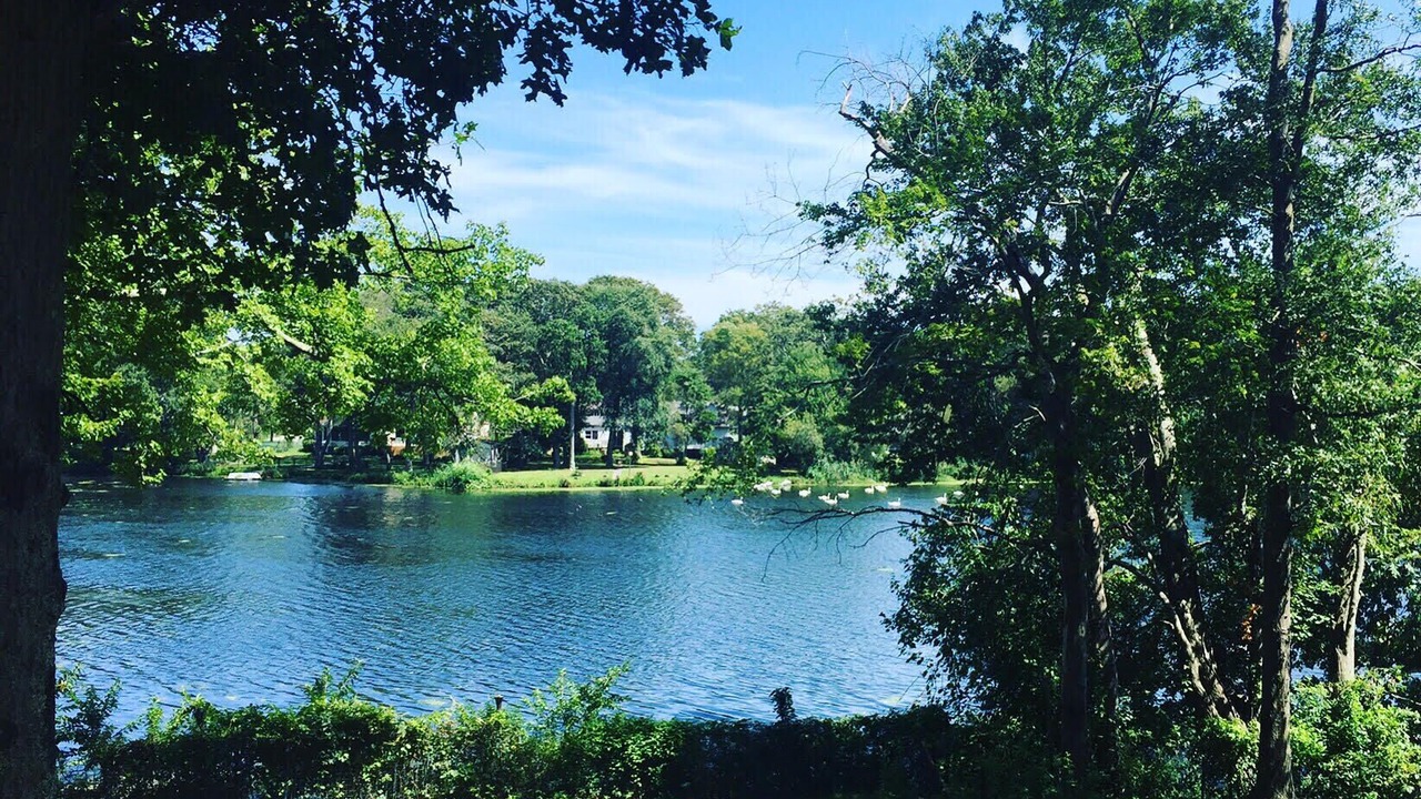 Photo of Outdoor in Patchogue