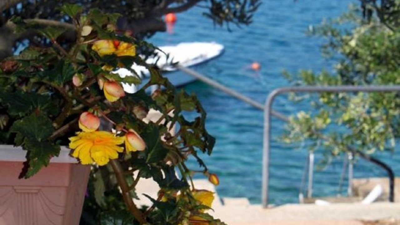 Photo of Outdoor in Necujam