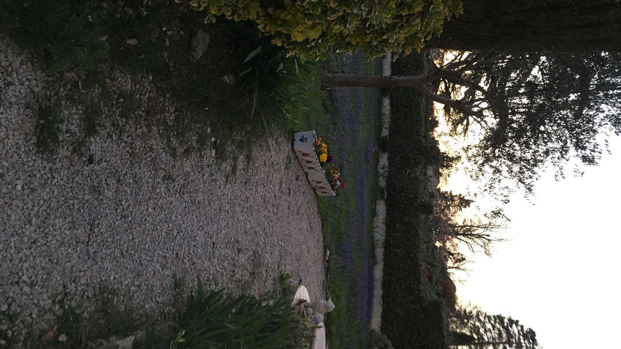 Photo of Outdoor in Montfavet