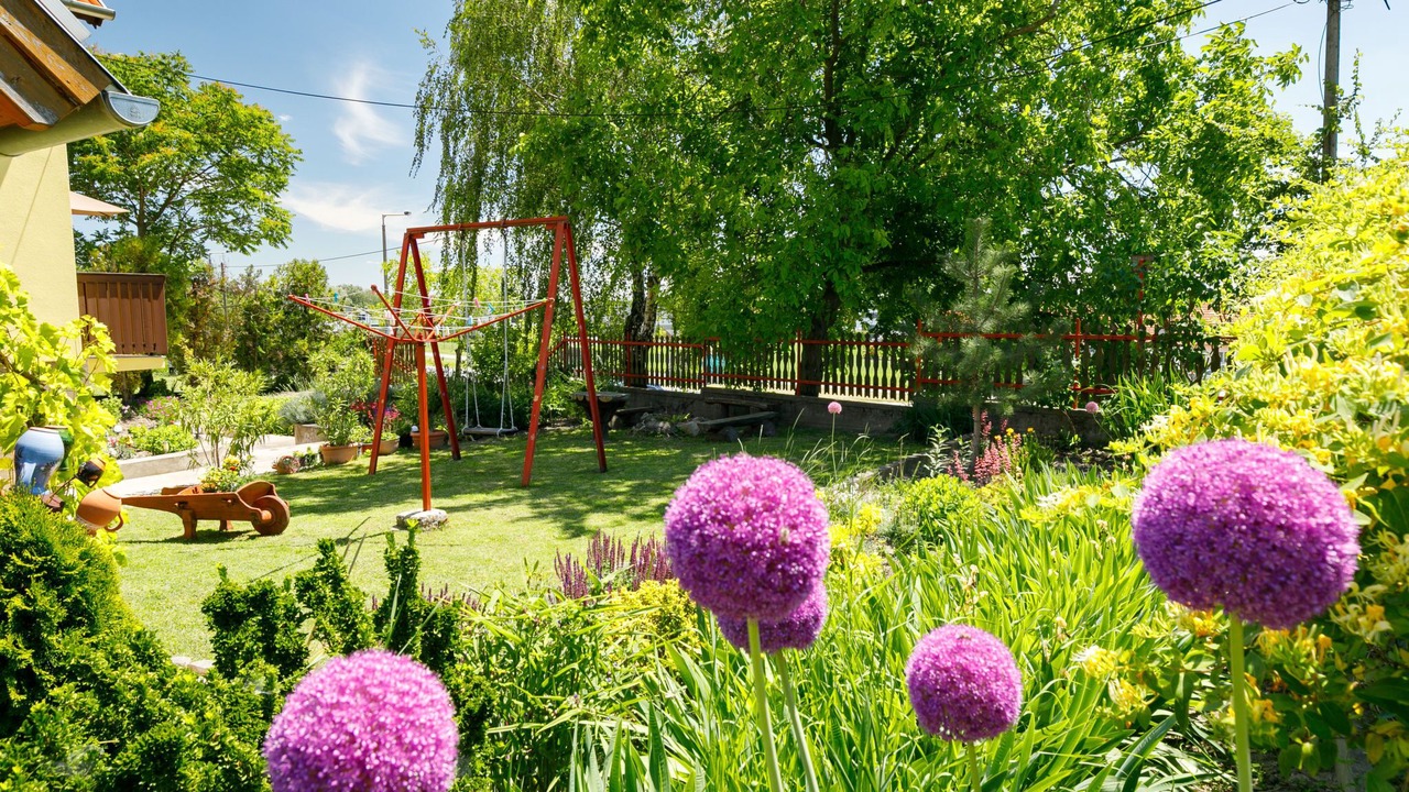 Photo of Outdoor in Velence