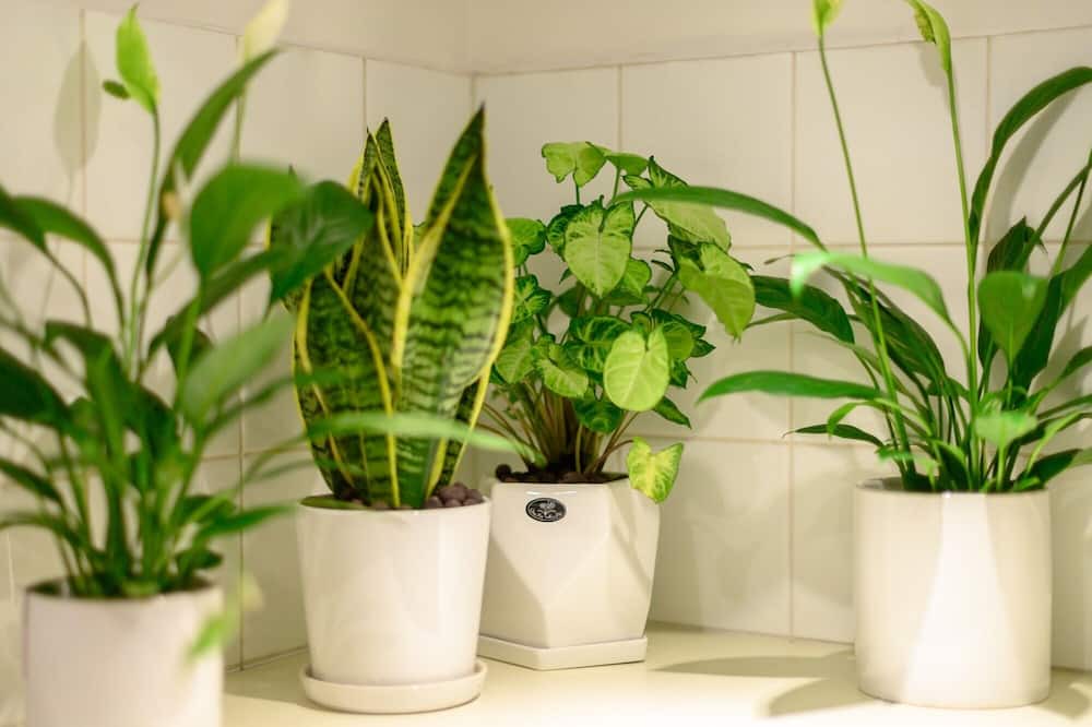 Photo of Bathroom in Jing'an