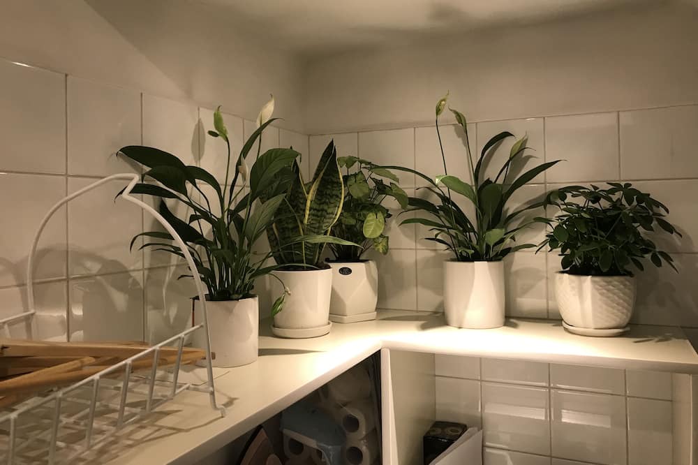 Photo of Kitchen in Jing'an